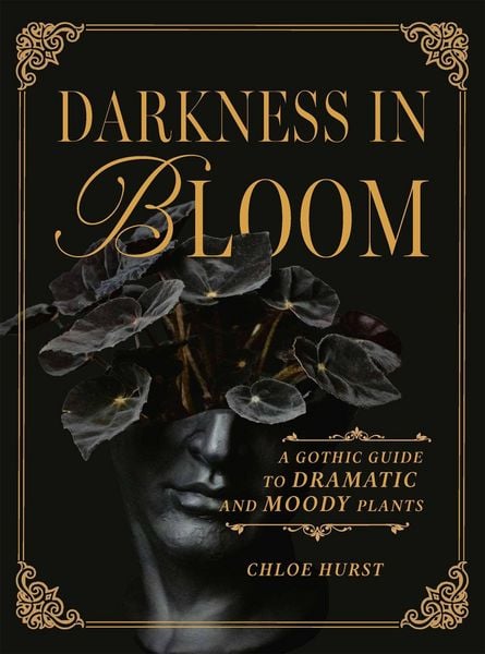 Produktbild: Darkness in Bloom