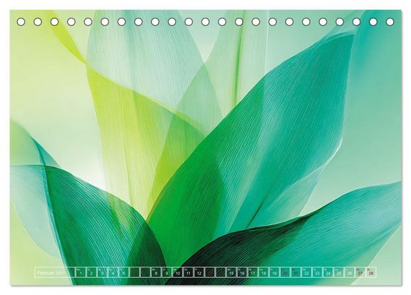 Produktbild: Lichtspiele der Natur (Tischkalender 2027 DIN A5 quer), CALVENDO Monatskalender