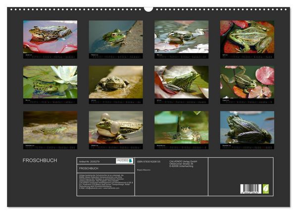 Produktbild: FROSCHBUCH (Wandkalender 2026 DIN A2 quer), CALVENDO Monatskalender