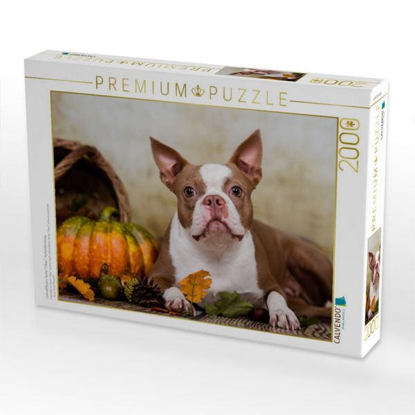 Produktbild: Colored Boston Terrier "Roxy" Herbststimmung (Puzzle)
