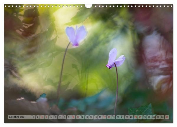Produktbild: M&auml;rchenwelt der Wildblumen (Wandkalender 2026 DIN A3 quer), CALVENDO Monatskalender