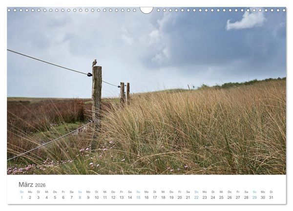 Produktbild: Juist - mein T&ouml;werland (Wandkalender 2026 DIN A3 quer), CALVENDO Monatskalender
