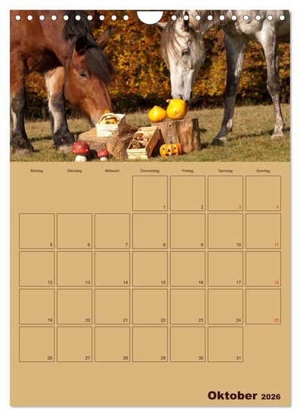 Produktbild: Pferde Gute Freunde (Wandkalender 2026 DIN A4 hoch), CALVENDO Monatskalender