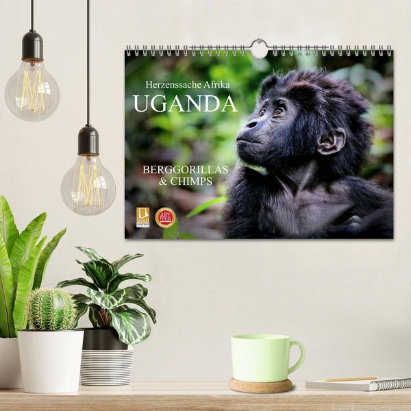 Produktbild: UGANDA - Berggorillas & Chimps (Wandkalender 2026 DIN A4 quer), CALVENDO Monatskalender
