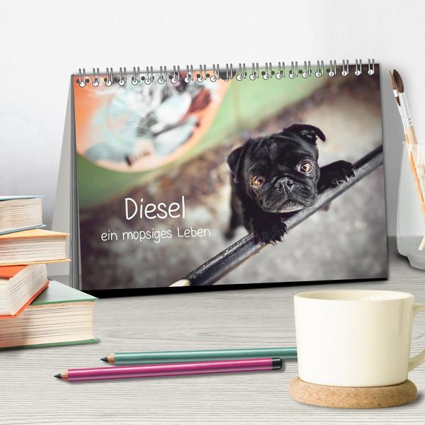 Produktbild: Diesel - ein mopsiges Leben (Tischkalender 2026 DIN A5 quer), CALVENDO Monatskalender