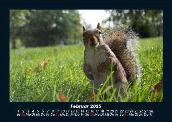 Produktbild: London 2025 Fotokalender DIN A5