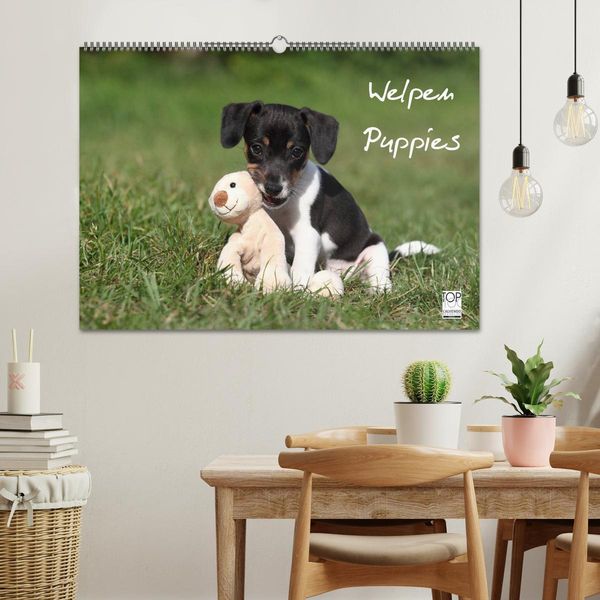 Produktbild: Welpen - Puppies (Wandkalender 2026 DIN A2 quer), CALVENDO Monatskalender