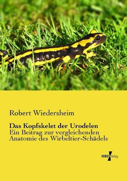Produktbild: Das Kopfskelet der Urodelen
