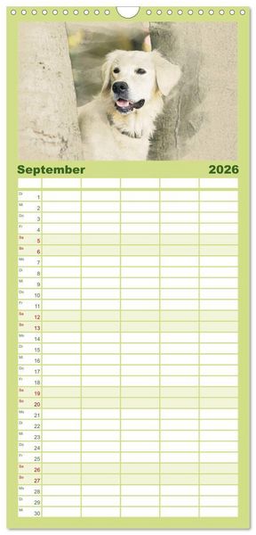 Produktbild: Familienplaner 2026 - Golden Retriever mit 5 Spalten (Wandkalender, 21 x 45 cm) CALVENDO