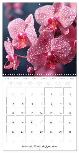 Produktbild: colorful orchid family planner (Wall Calendar 2026 12 &times; 12 Inch) CALVENDO 12 Month Wall Calendar