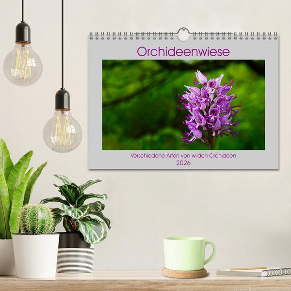 Produktbild: Orchideenwiese 2026 (Wandkalender 2026 DIN A4 quer), CALVENDO Monatskalender