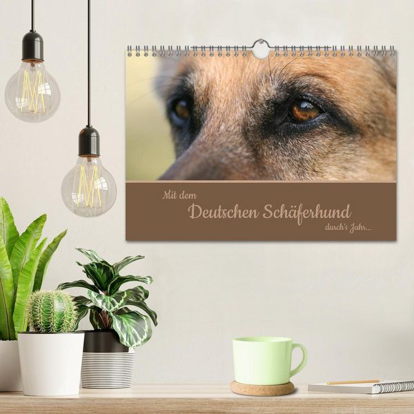 Produktbild: Mit dem Deutschen Sch&auml;ferhund durch's Jahr (Wandkalender 2026 DIN A4 quer), CALVENDO Monatskalender