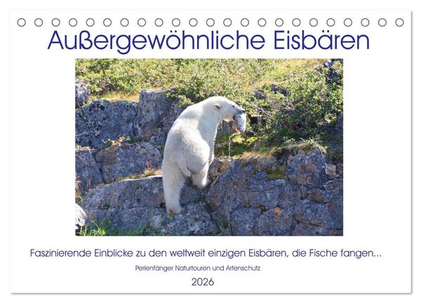 Produktbild: Das Leben der etwas "anderen" Eisb&auml;ren! (Tischkalender 2026 DIN A5 quer), CALVENDO Monatskalender