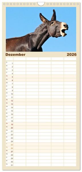 Produktbild: Familienplaner 2026 - Esel - Sixtus Loreley mit 5 Spalten (Wandkalender, 21 x 45 cm) CALVENDO