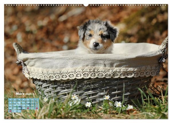 Produktbild: Lillyfee und ein K&ouml;rbchen voller Gl&uuml;ck (Wandkalender 2027 DIN A2 quer), CALVENDO Monatskalender