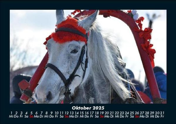 Produktbild: Pferdegefl&uuml;ster 2025 Fotokalender DIN A5