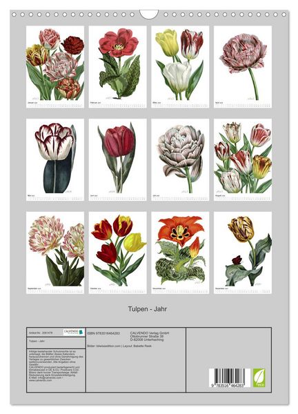 Produktbild: Tulpen - Jahr (Wandkalender 2026 DIN A3 hoch), CALVENDO Monatskalender