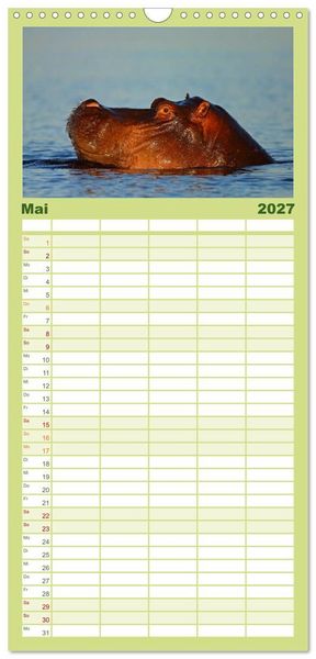 Produktbild: Familienplaner 2027 - Flusspferde Magie des Augenblicks - Hippos in Afrika mit 5 Spalten (Wandkalender, 21 x 45 cm) CALVENDO