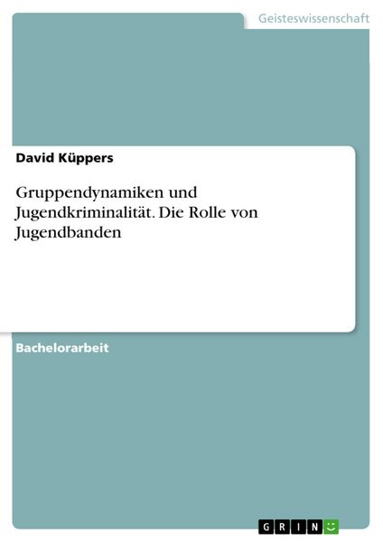 Produktbild: Gruppendynamiken und Jugendkriminalit&auml;t. Die Rolle von Jugendbanden