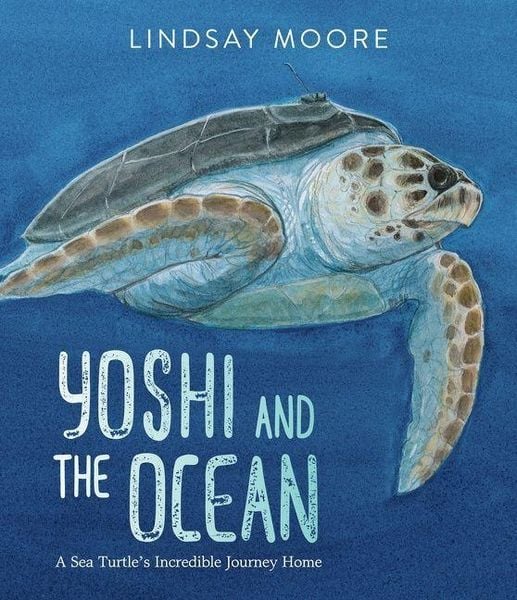 Produktbild: Yoshi and the Ocean