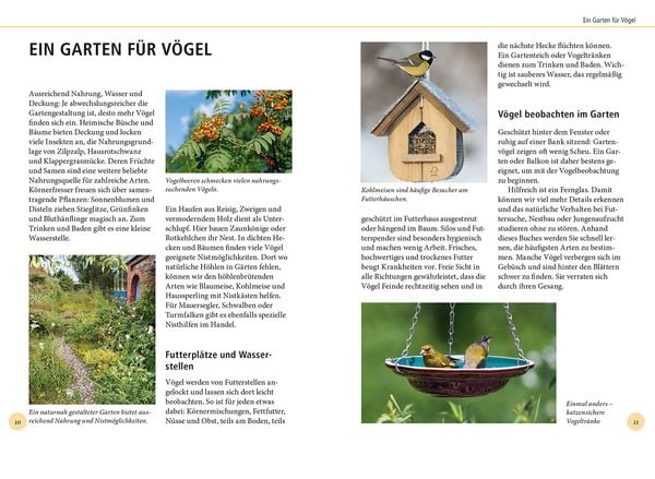 Produktbild: Gartenv&ouml;gel lebensgro&szlig;
