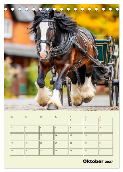 Produktbild: Shire Horse Magie. Englands sanfte Giganten (Tischkalender 2027 DIN A5 hoch), CALVENDO Monatskalender