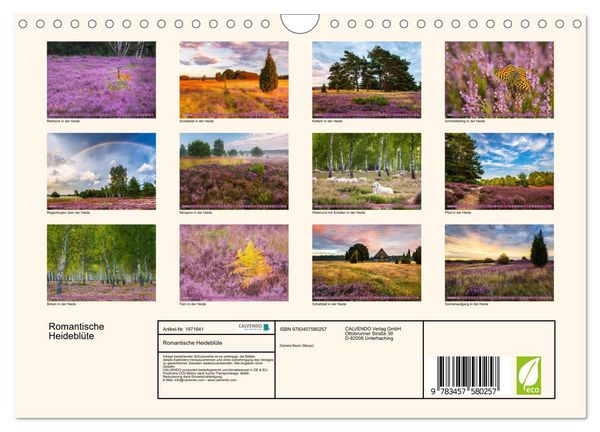 Produktbild: Romantische Heidebl&uuml;te (Wandkalender 2026 DIN A4 quer), CALVENDO Monatskalender