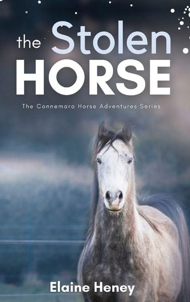 Produktbild: The Stolen Horse - Book 4 in the Connemara Horse Adventure Series for Kids | The Perfect Gift for Children