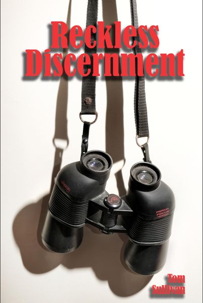 Produktbild: Reckless Discernment