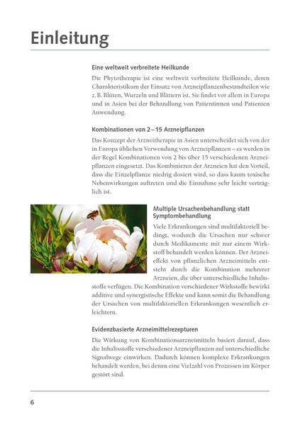 Produktbild: Klassische Rezepturen der asiatischen Phytotherapie