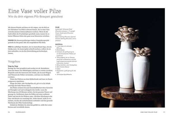 Produktbild: Pilzverr&uuml;ckt