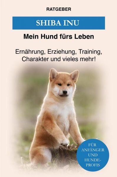 Produktbild: Shiba Inu