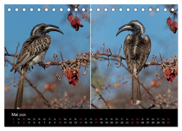 Produktbild: Naturerlebnis Botswana (Tischkalender 2026 DIN A5 quer), CALVENDO Monatskalender