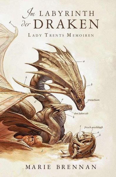Bild zum Artikel: Lady Trents Memoiren 4: Im Labyrinth der Draken