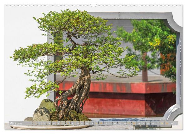 Produktbild: Gartenkunst aus Japan: Bonsai (hochwertiger Premium Wandkalender 2026 DIN A2 quer), Kunstdruck in Hochglanz