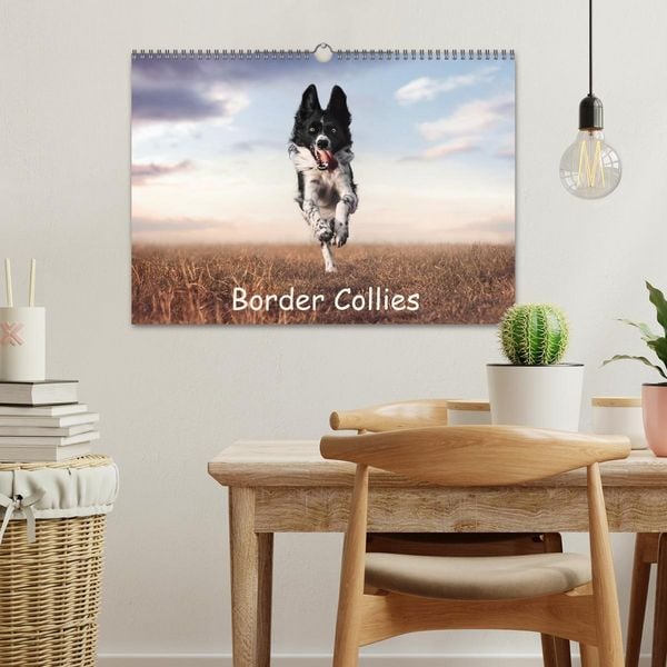 Produktbild: Border Collie Kalender &ndash; Ausdrucksstarke Close-up-Portraits durch die Jahreszeiten (Wandkalender 2027 DIN A3 quer), CALVENDO Monatskalender