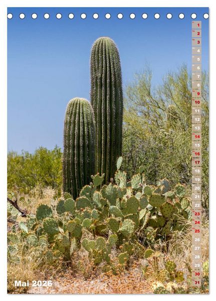 Produktbild: SAGUARO NATIONAL PARK W&uuml;stenimpressionen aus Arizona (Tischkalender 2026 DIN A5 hoch), CALVENDO Monatskalender