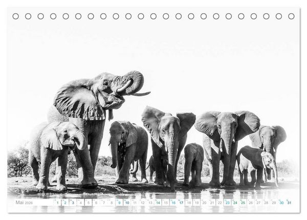 Produktbild: AFRIKA - Schwarz-weiss Fotografien im modernen "High Key" Look (Tischkalender 2026 DIN A5 quer), CALVENDO Monatskalender