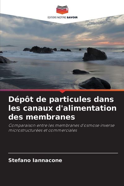 Produktbild: D&eacute;p&ocirc;t de particules dans les canaux d'alimentation des membranes