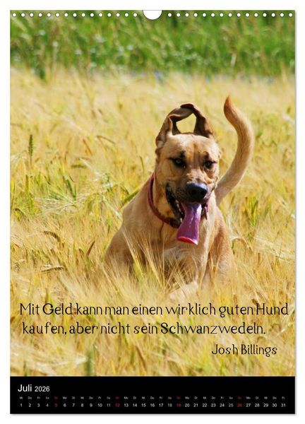 Produktbild: Der Broholmer (Wandkalender 2026 DIN A3 hoch), CALVENDO Monatskalender