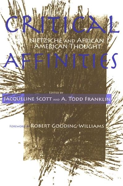 Produktbild: Critical Affinities