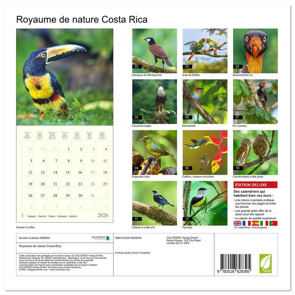 Produktbild: Royaume de nature Costa Rica (Calendrier mural carr&eacute; 2026 30x30 cm) Calendrier double avec une page pour vos prises de notes