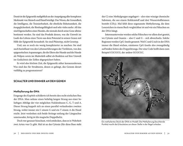 Produktbild: Die Epigenetik des Hundes