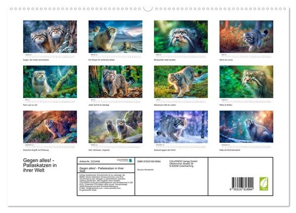Produktbild: Gegen alles! - Pallaskatzen in ihrer Welt (hochwertiger Premium Wandkalender 2027 DIN A2 quer), Kunstdruck in Hochglanz