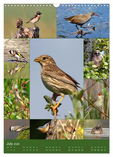 Produktbild: 78 Birds (Wall Calendar 2026 DIN A3 portrait), CALVENDO 12 Month Wall Calendar