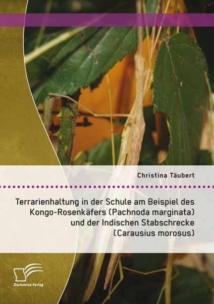 Produktbild: Terrarienhaltung in der Schule am Beispiel des Kongo-Rosenk&auml;fers (Pachnoda marginata) und der Indischen Stabschrecke (Carausius morosus)