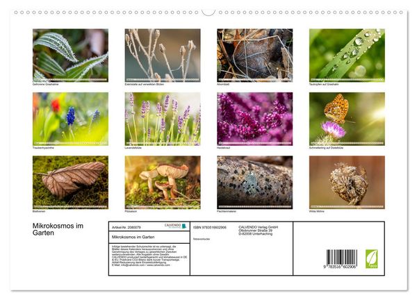 Produktbild: Mikrokosmos im Garten (hochwertiger Premium Wandkalender 2026 DIN A2 quer), Kunstdruck in Hochglanz