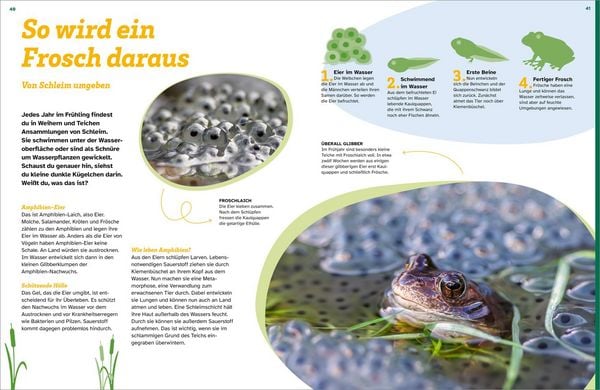 Produktbild: WAS IST WAS Schleim. Eklig? Nein, genial!
