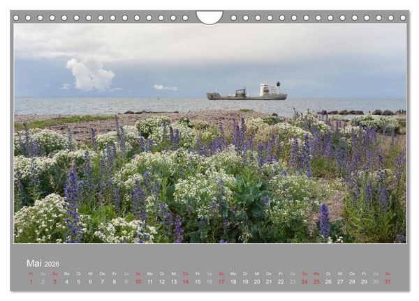 Produktbild: &Ouml;LAND - Besuch im etwas anderen Schweden 2026 (Wandkalender 2026 DIN A4 quer), CALVENDO Monatskalender
