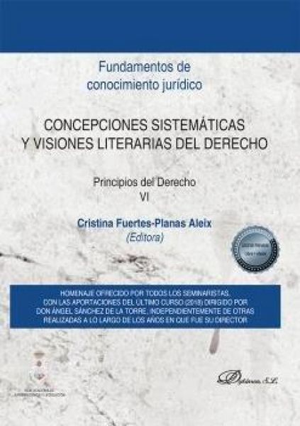 Produktbild: Concepciones sistem&aacute;ticas y visiones literarias del derecho : principios del derecho VI